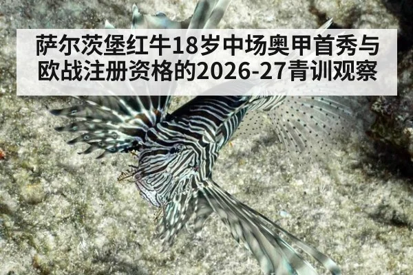 萨尔茨堡红牛18岁中场奥甲首秀与欧战注册资格的2026-27青训观察